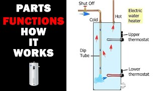 How an Electric Water Heater Works [upl. by Xavier]