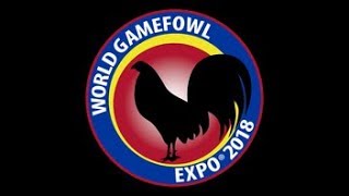 World Gamefowl 2018 [upl. by Caputto]