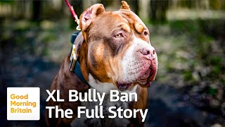 XL Bully Ban The Full Story [upl. by Ihc]