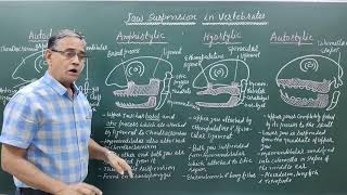 Jaw Suspension in Vertebrates [upl. by Camp]