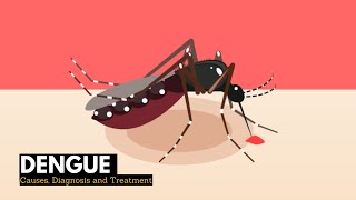 What are the Signs and Symptoms of Dengue Fever [upl. by Adnomar659]