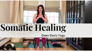 Somatic Healing  Yoga For Trauma  12 MIN  Dawn Davis Yoga [upl. by Ofori251]