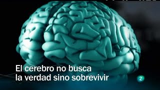 DOCUMENTALES INTERESANTES🔥El mejor DOCUMENTAL 2023 ⚠️El poder del cerebro [upl. by Irv]