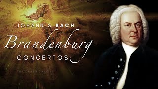 Bach  Brandenburg Concertos complete [upl. by Ardnaet853]