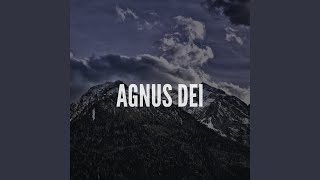 Agnus Dei  Instrumental [upl. by Nyre441]