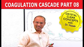 Coagulation Cascade  Part 812 [upl. by Bernice]