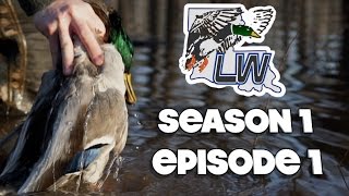 Duck Hunting Catahoula Lake Louisiana Wetlands S1E1 [upl. by Loring258]