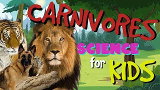 What is a Carnivore  Science for Kids [upl. by Hayidah]