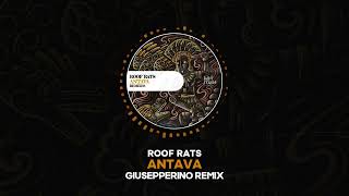 Roof Rats  Antava Giusepperino Remix [upl. by Bannon694]