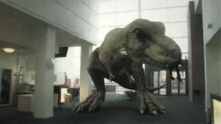 T Rex In The Atrium 2010 [upl. by Ayik]