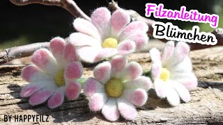 Filzanleitung Blume  Tutorial  Nassfilzen [upl. by Moria]