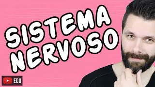 SISTEMA NERVOSO  FISIOLOGIA  Aula  Biologia com Samuel Cunha [upl. by Darelle853]