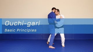 Ouchigari  Basic principles [upl. by Thorlay]