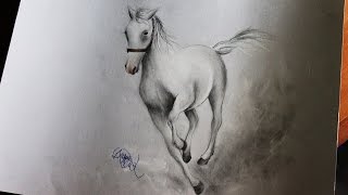 How to draw a horse  Come disegnare un cavallo [upl. by Cleopatra]