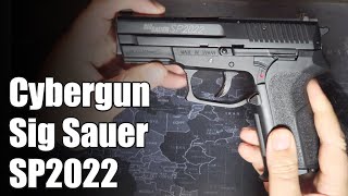 Sig Sauer SP2022 [upl. by Nnylirak]