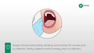 How to Collect a Buccal Swab Sample [upl. by Ttenaj]