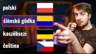 Silesian Dialect  Can Czech Kashubian and Polish understand it  1 [upl. by Mushro716]