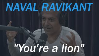 Naval Ravikant  Joe Rogan  Work Like A Lion [upl. by Atteyek]