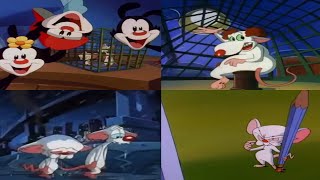 All Pinky and the Brain Intros 1993  2022 [upl. by Plank]