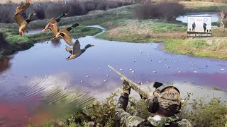 DUCK HUNTING 2023  Opening weekend [upl. by Klingel]