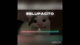 Belupacito 30 mins [upl. by Fadas]