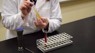 How to Inoculate a Slant  MCCC Microbiology [upl. by Morse432]