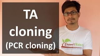 TA Cloning PCR cloning [upl. by Eilojne]