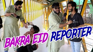 BAKRA EID REPORTER  By Nadir Ali  P4 Pakao  2024 [upl. by Maddis779]