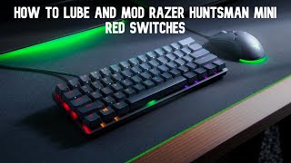 How To Lube And Mod Razer Huntsman Mini Red Switches [upl. by Anerok929]