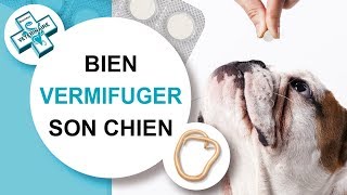 Tuto véto Comment vermifuger son chien  Conseils vétérinaires [upl. by Teiv]