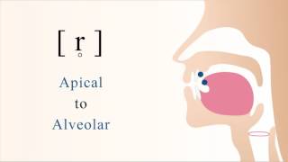 The 3 Nasal Sounds  m n amp ŋ  English Pronunciation [upl. by Notrem]