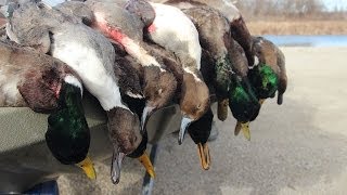 Duck Hunting Public Land Stacked Against Us  Fowled Reality [upl. by Conlin]