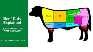 Understanding Beef Cuts [upl. by Rew374]