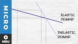 Elasticity of Demand [upl. by Culley]