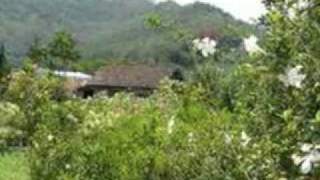 Bukit Berbunga  Uci Bing Slametmp4 [upl. by Elder114]