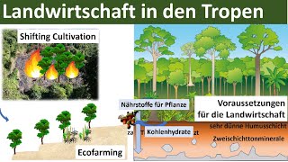 Landwirtschaft in den Tropen Zusammenfassung  Erdkunde Oberstufe Abitur [upl. by Fee]