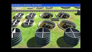 CBSE Class 12 Biology  Microbes In Sewage Treatment [upl. by Nnoved]