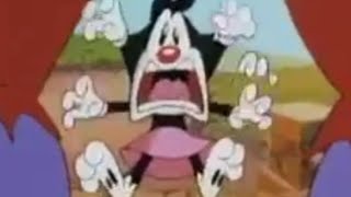 Animaniacs 1993  1998 but its just Dot screaming on top of her lungs [upl. by Llerot]