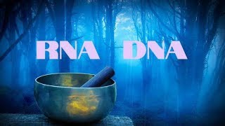 🕉 RNA DNA HEAL amp REPAIR [upl. by Enyak]