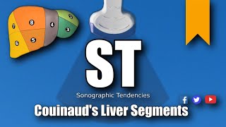 Ultrasound Couinauds Liver Segments [upl. by Tilney]