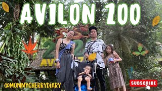 Avilon Zoo 2024 [upl. by Adamok]