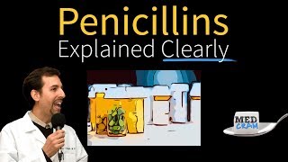 Diagnosing a Penicillin Allergy [upl. by Jud836]