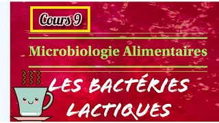 👉 Les Lactobacillus ⚠️ [upl. by Inaleon]