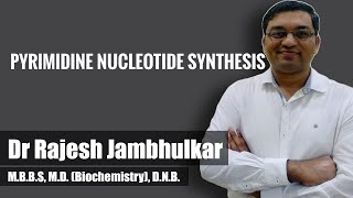 Pyrimidine nucleotide synthesis and degradation [upl. by Osbert201]