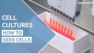 How to seed cells correctly Cell Culture Do´s and Don´ts Part 1 [upl. by Semele31]