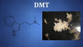 Dimethyltryptamine DMT What You Need To Know [upl. by Wilmette]