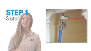 How to Sanitize a Reverse Osmosis RO System with SaniSystem [upl. by Cynthy]