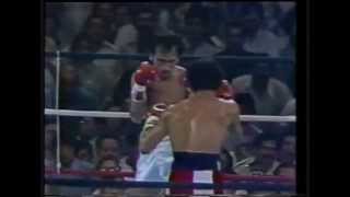 Wilfredo Gomez vs Carlos Zarate full fight HD [upl. by Teddi]