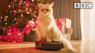 9 hours relaxing sounds of cat hoovering around Christmas tree and presents XmasLife  BBC [upl. by Camila876]