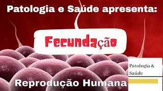 Reprodução Humana Fecundação [upl. by Inge]